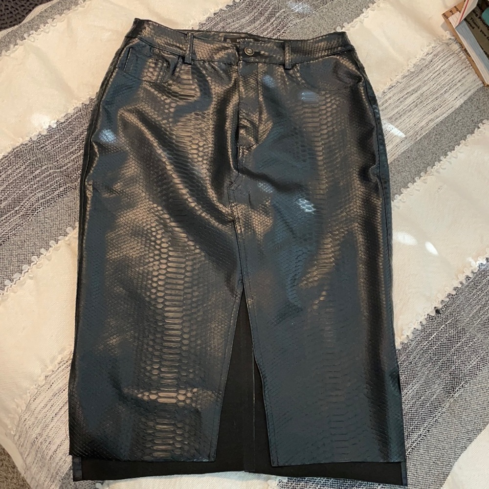Zara Skirt